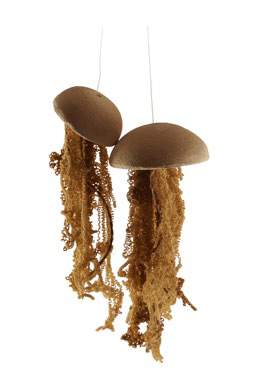 56 227 KAI 234 56 227 KAI 234